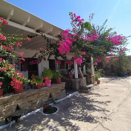Pantelis Vidalis Apartment Tinos